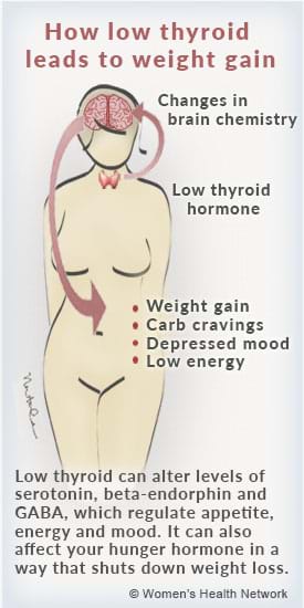 pathway to thyroid weight gain