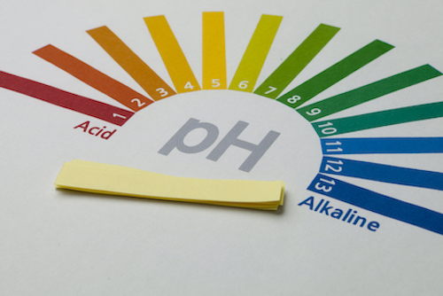 pH strips and level.