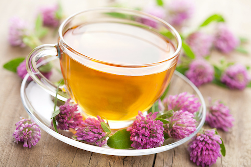 Red clover is one of the best natural supplements for menopause symptoms 